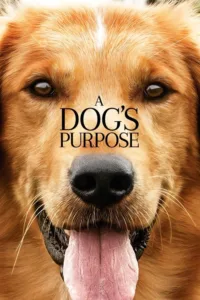 مشاهدة فيلم A Dog’s Purpose (2017) مترجم 2017