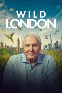 مشاهدة فيلم Wild London (2026) مترجم 2026