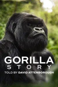 مشاهدة فيلم A Gorilla Story: Told by David Attenborough (2026) مترجم 2026
