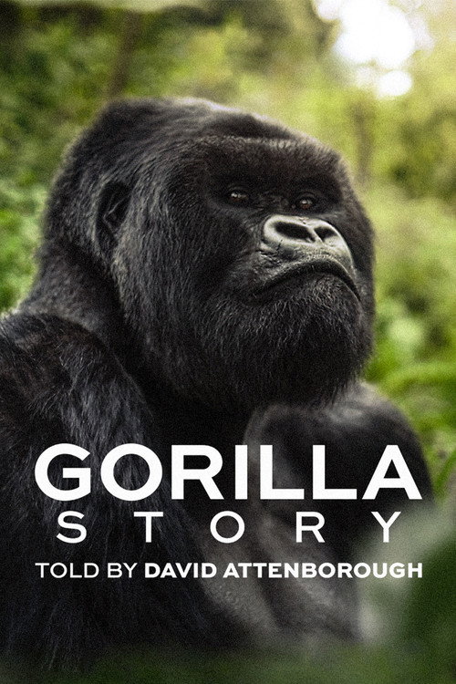 مشاهدة فيلم A Gorilla Story: Told by David Attenborough (2026) مترجم