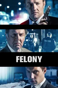 مشاهدة فيلم Felony (2014) مترجم 2014