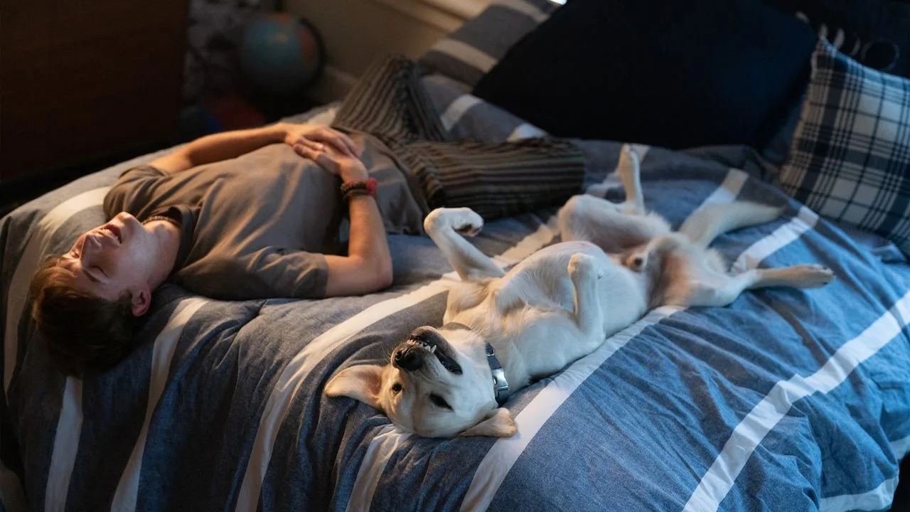 مشاهدة فيلم Dog Gone (2023) مترجم