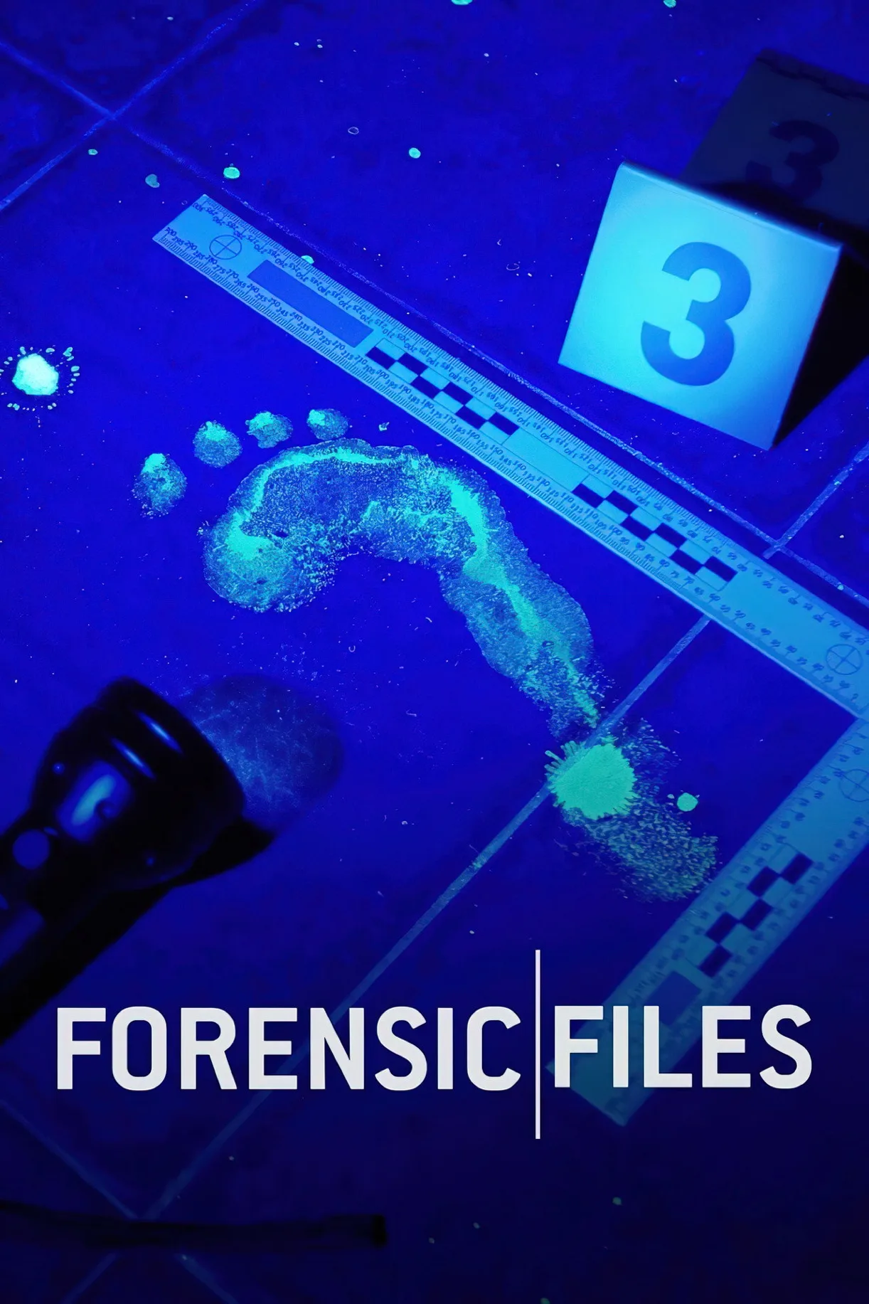 الحلقة 11