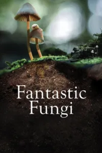 مشاهدة فيلم Fantastic Fungi (2019) مترجم 2019