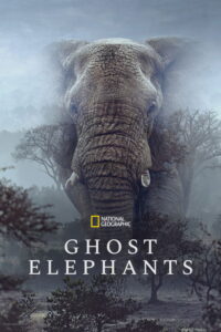 مشاهدة فيلم Ghost Elephants (2026) مترجم 2026