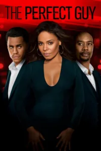 مشاهدة فيلم The Perfect Guy (2015) مترجم 2015