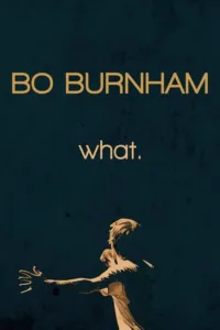 مشاهدة فيلم Bo Burnham: What. (2013) مترجم 2013