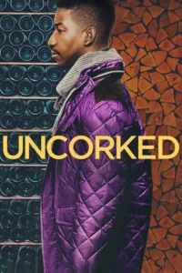 مشاهدة فيلم Uncorked (2020) مترجم 2020