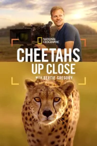 مشاهدة فيلم Cheetahs Up Close with Bertie Gregory (2026) مترجم 2026