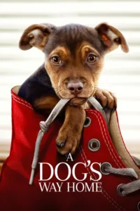 مشاهدة فيلم A Dog’s Way Home (2019) مترجم 2019