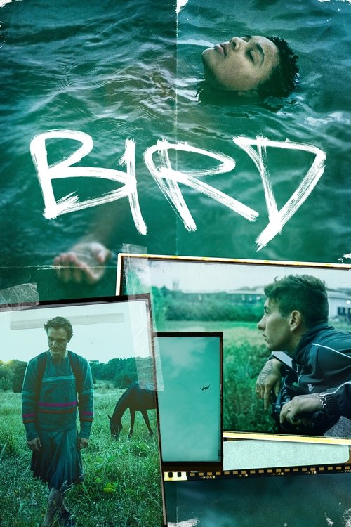 مشاهدة فيلم Bird (2024) مترجم
