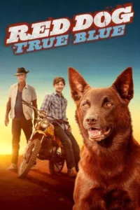 مشاهدة فيلم Red Dog: True Blue (2016) مترجم 2016